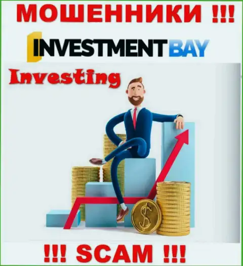 Не верьте, что область деятельности Investment Bay - Инвестиции законна это лохотрон
