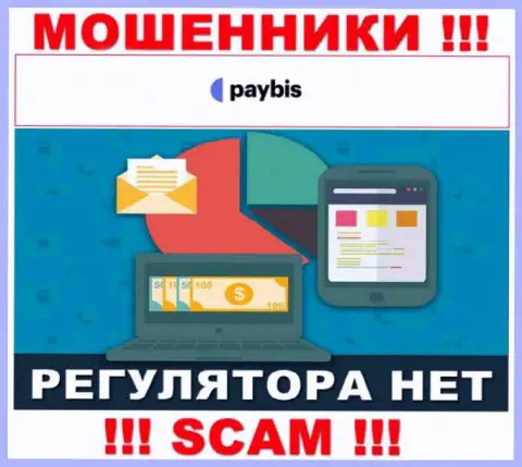 У PayBis на информационном портале не имеется сведений о регуляторе и лицензии компании, значит их вовсе нет