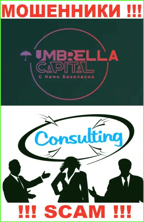Umbrella Capital - это ШУЛЕРА, вид деятельности которых - Consulting