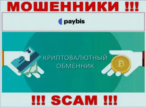 Крипто обменник - это тип деятельности противоправно действующей компании PayBis
