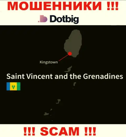 Dot Big имеют оффшорную регистрацию: Kingstown, St. Vincent and the Grenadines - будьте крайне бдительны, ворюги