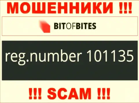 Номер регистрации конторы BitOfBites Com, который они предоставили на своем сайте: 101135