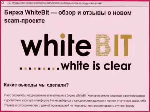 ВайтБит - это компания, совместное взаимодействие с которой доставляет лишь потери (обзор мошеннических деяний)