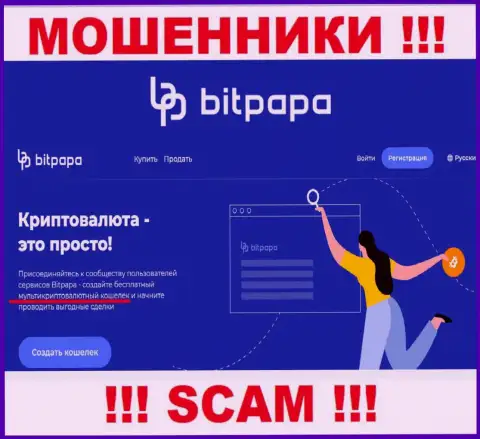 Тип деятельности мошеннической организации BitPapa Com - это Крипто кошелёк